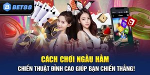 Cách Chơi Ngầu Hầm Được Tích Lũy Từ Các Cao Thủ Bạn Nên Biết